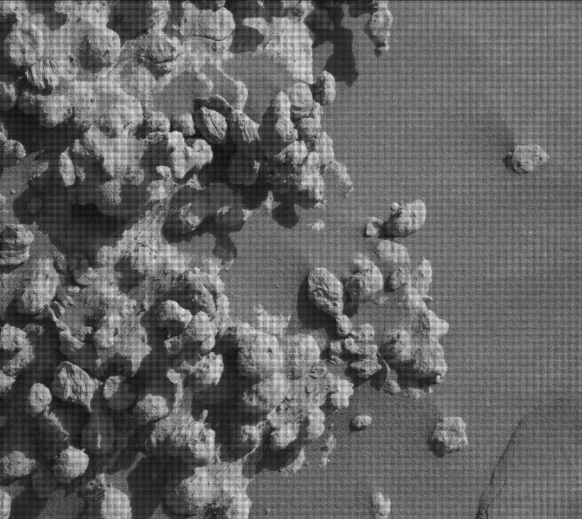 Close-up view of bumpy rock discovered by Curiosity rover on Mars