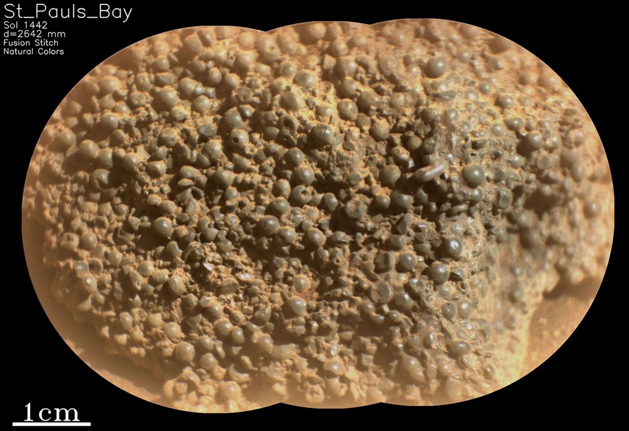 Perseverance discovered a bumpy rock on Mars