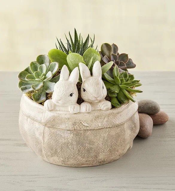 crate with Peter Rabbit pattered towels, coffee and baking utensil