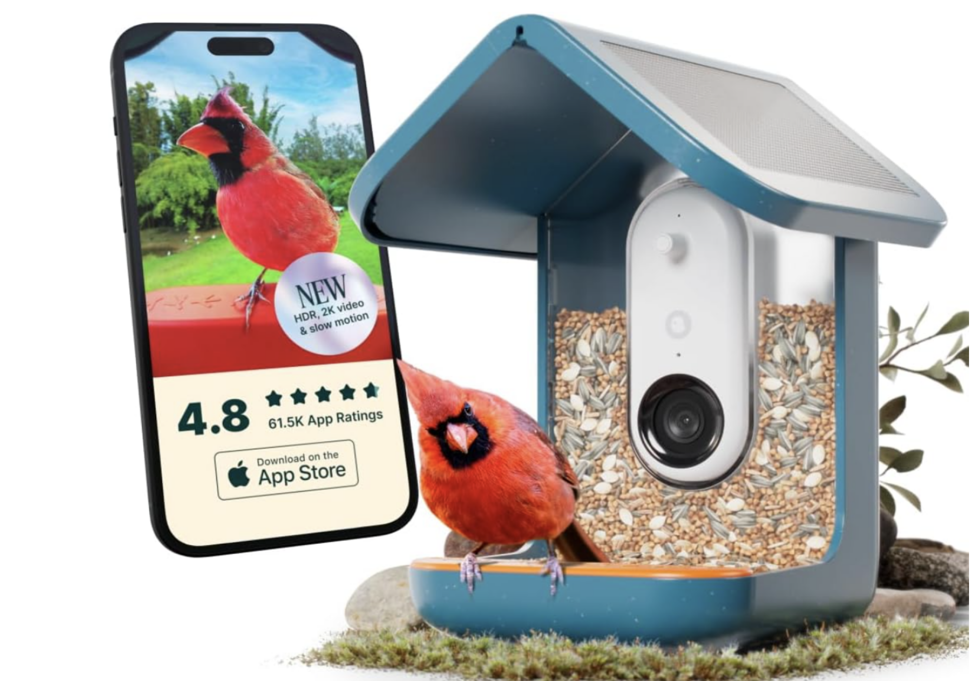 Bird Buddy smart bird feeder