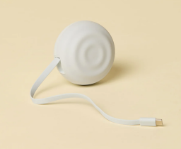 white charger on cream background