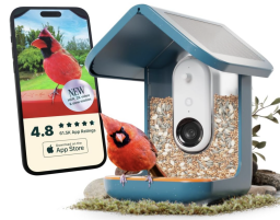 Bird Buddy smart feeder