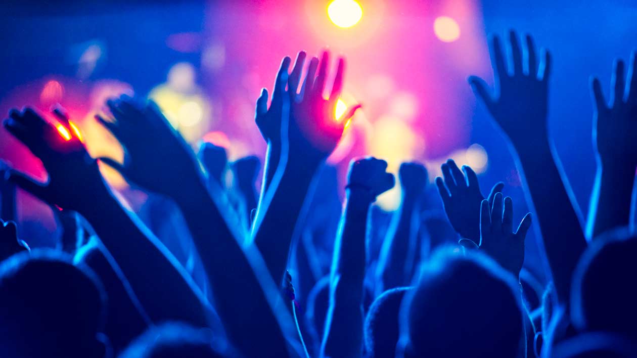 Concert, Crowd