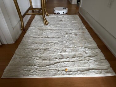 Rug filled with crumbs and pet hair about to be cleaned by Dreame robot vacuum