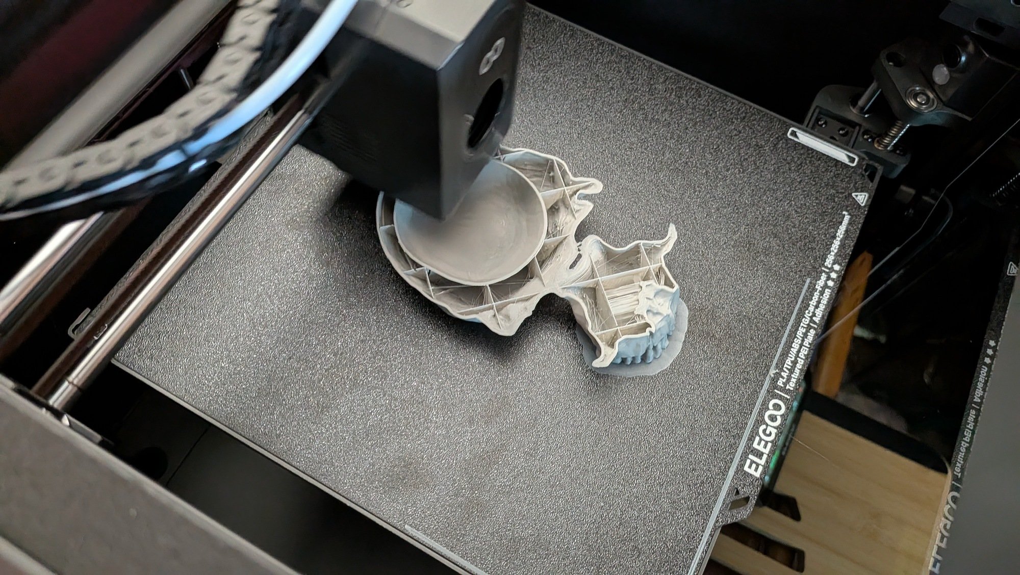 elegoo 3d printer making a skull